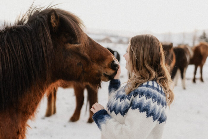 Horse cuddling up to a girl in a wool sweater