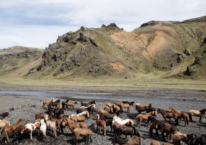 Riding around the amazing landscapes of south iceland
